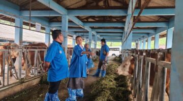 Dorong Pengembangan Sub-Sektor Peternakan Daerah